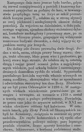Edward Chłopicki, Częstochowskie strony, Janów i Złoty Potok, T.I., 348, 1874 r., cz.3.jpg