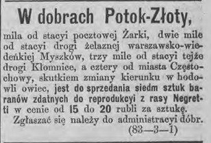 barany na sprzedaż, Tydz.Piotr. 18, 1978 r..jpg