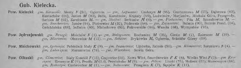 Zniszczenia_wojenne_w_ budowlach_b_Krolestwa_Polskiego, 1918 r., Zniszczone wsie, cz.2.jpg