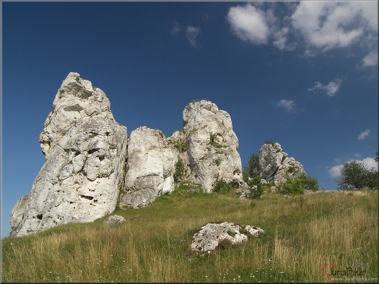 utowiec