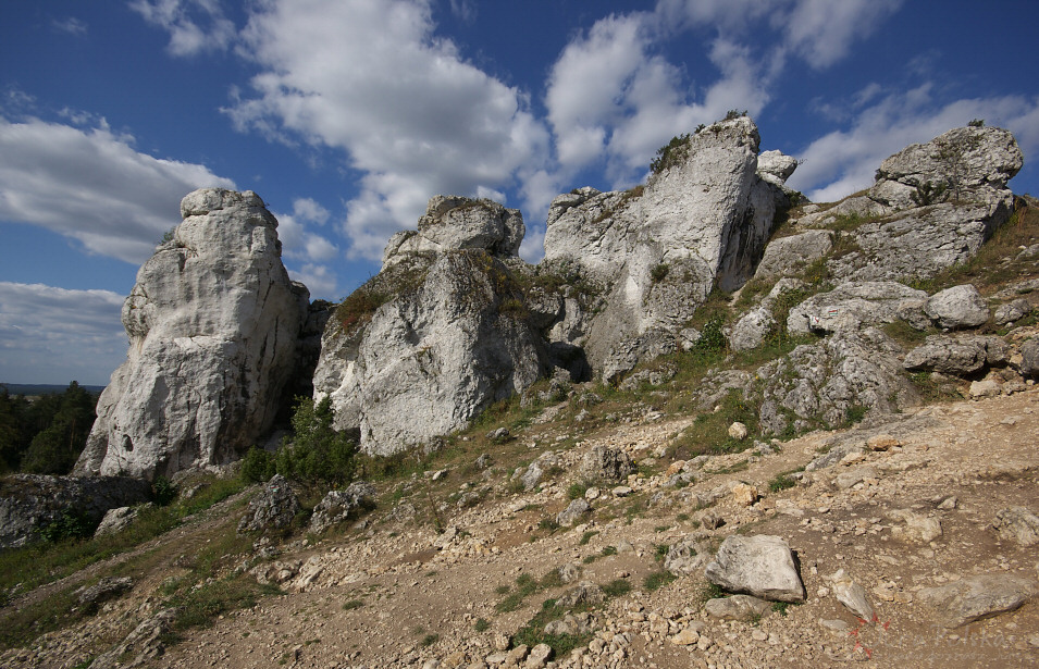 rez. Gra Zborw