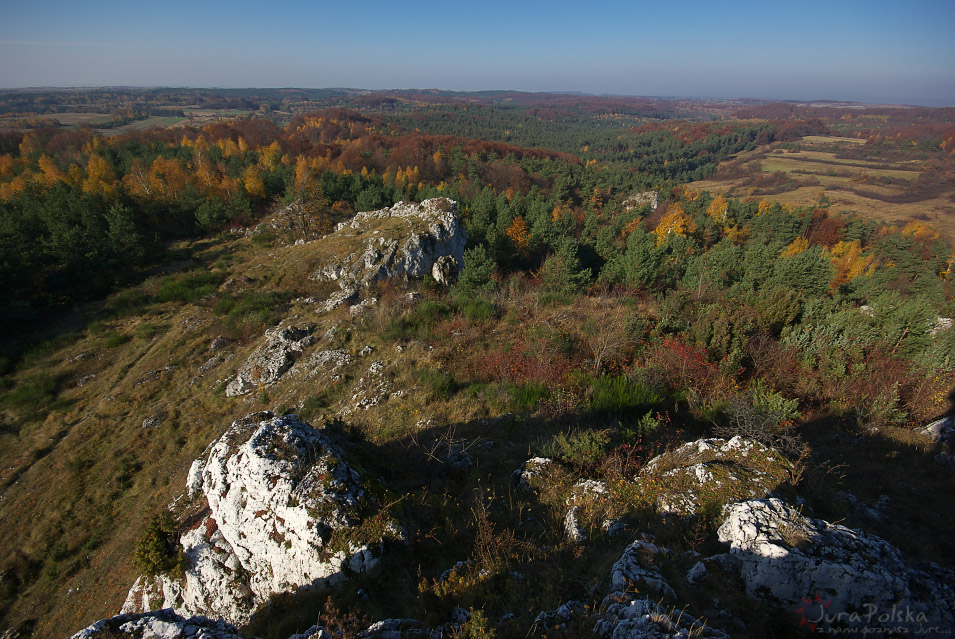 Bukowie k/Trzebniowa