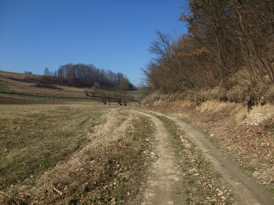 Dolina midzy Cieplicami a Michawk