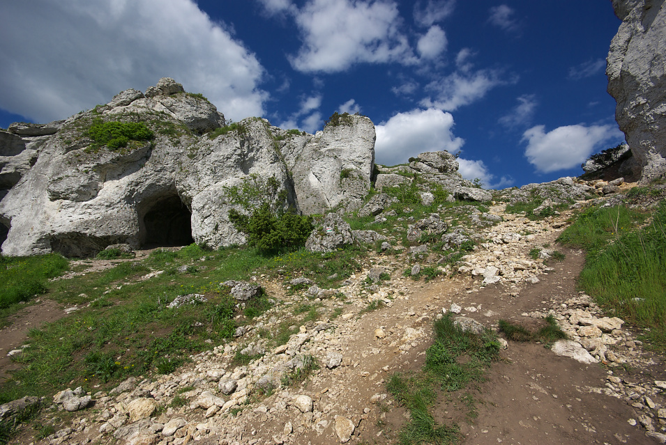 rez. Gra Zborw