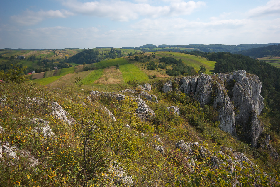 Powronikowa Skaa k/Racawic