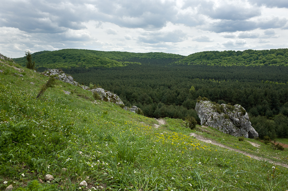 Rezerwat Sokole Gry widziany z Biaka