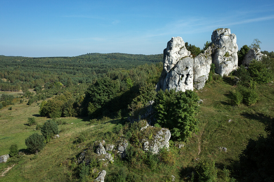 utowiec