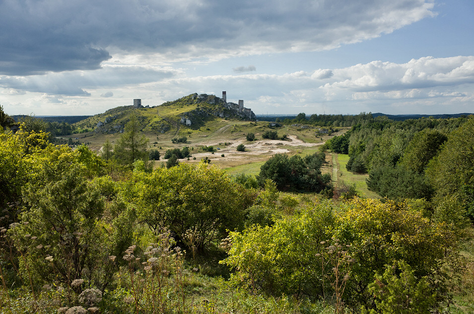 Okolice Olsztyna