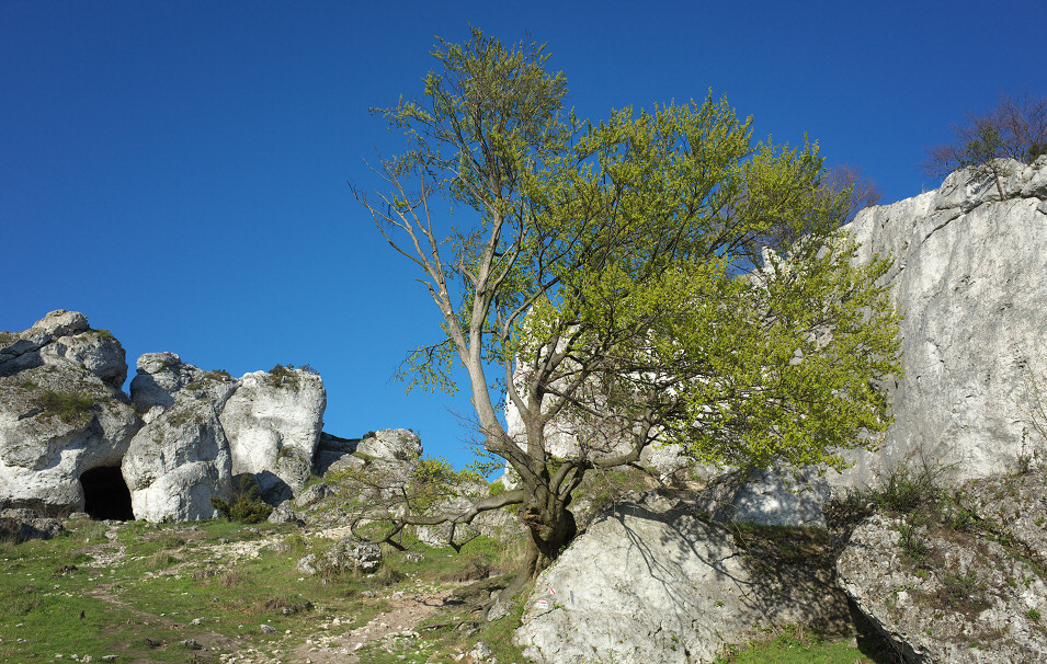 Rezerwat Gra Zborw