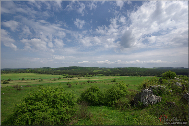 Okolice Przybynowa - Jaroszowa