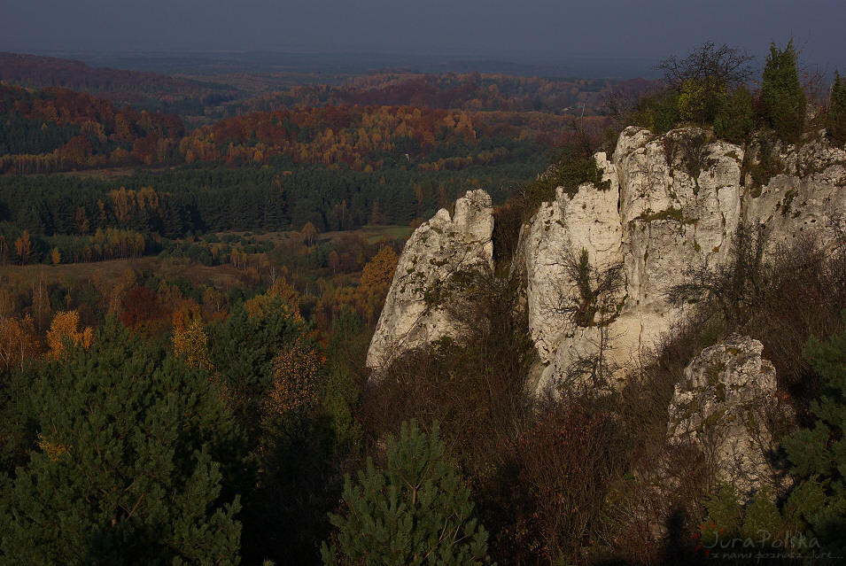 Bukowie, okolice Trzebniowa