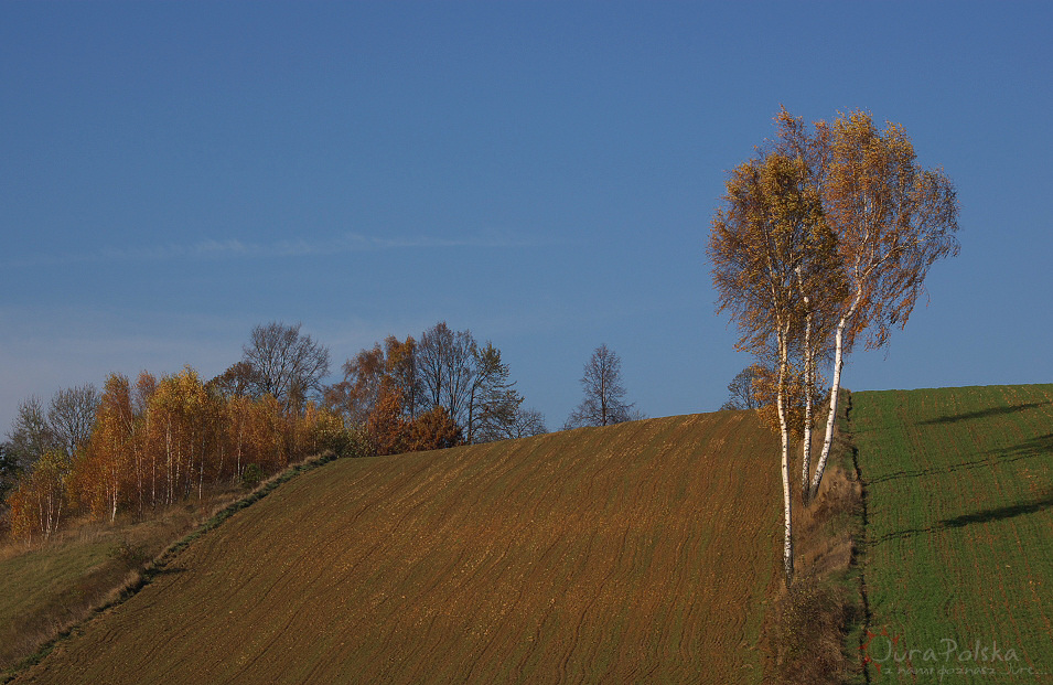 Postaszowice