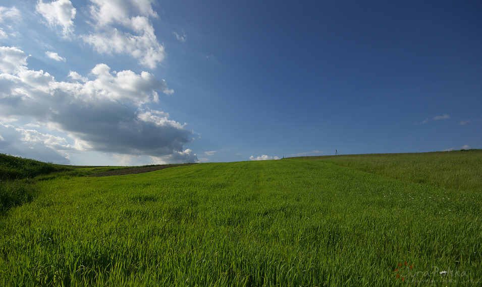 Pola na wierzchowinie nad Dolin Racawki