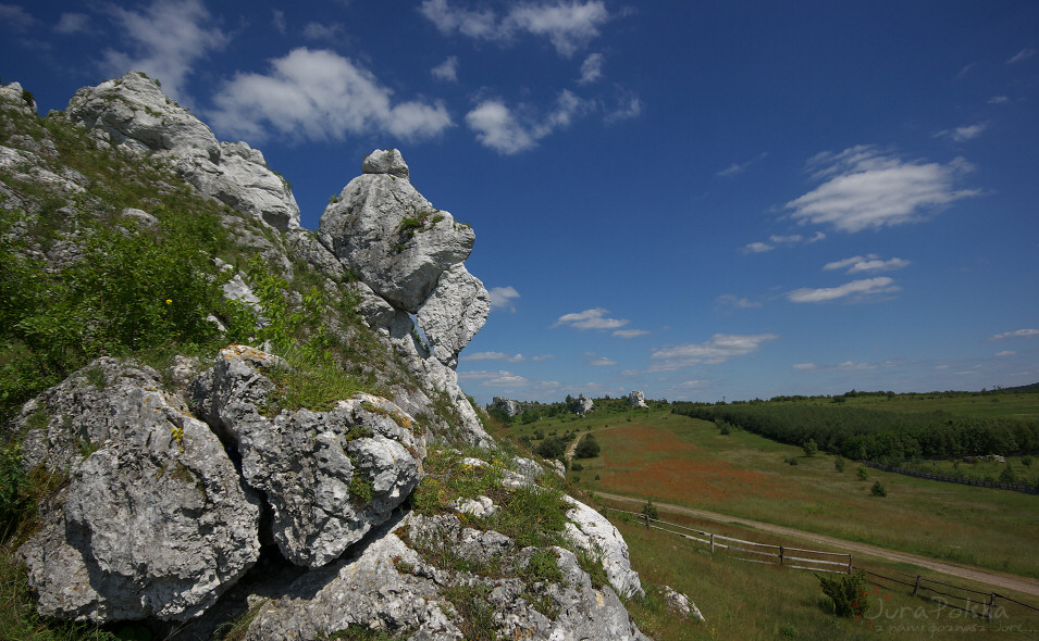 Wzgrze Zamkowe i Cegielnia, Olsztyn k/Cz-wy