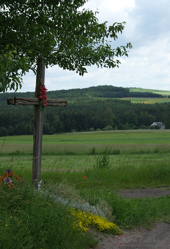 Kiekowice