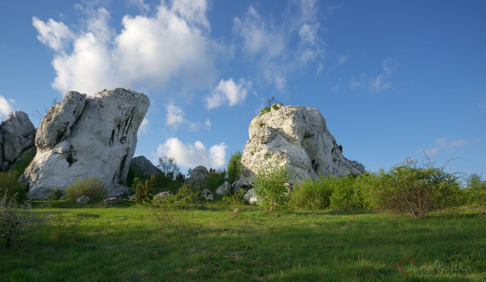 Skaki Rzdkowickie