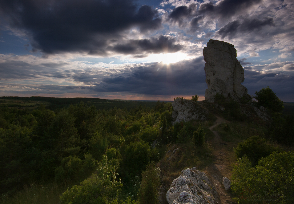 Skaa Wyskoka, Rzdkowice