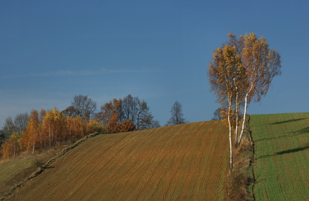 Postaszowice