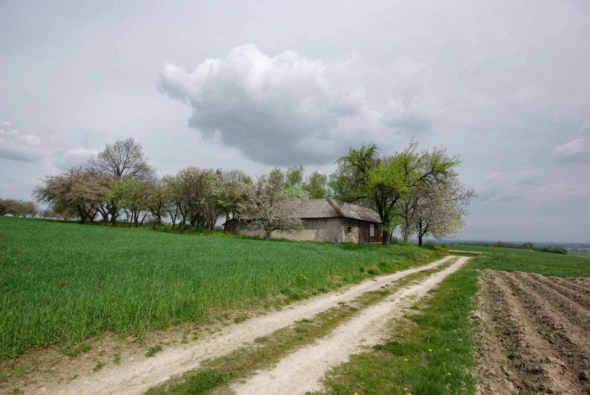 okolice Bodziejowic, Zagrza i Dzibic