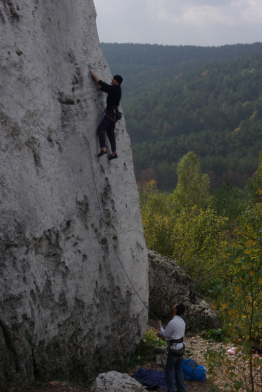 Gra Zborw