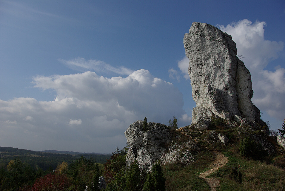 Skaki Rzdkowickie