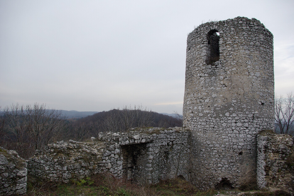 Zamek Pilcza w Smoleniu