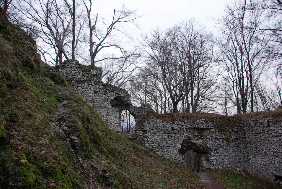 Zamek Pilcza w Smoleniu