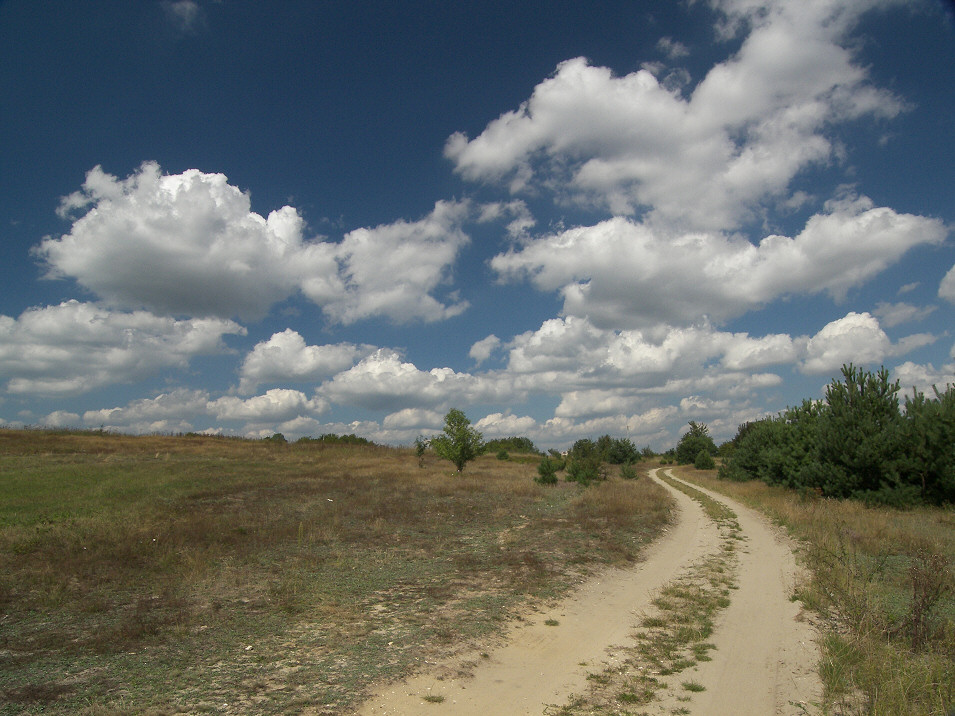 Kolonia Bobolice