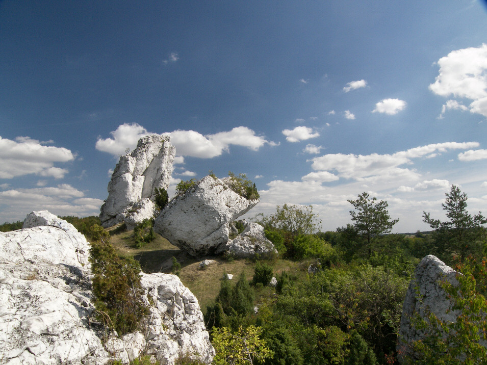 Skaki Rzdkowickie