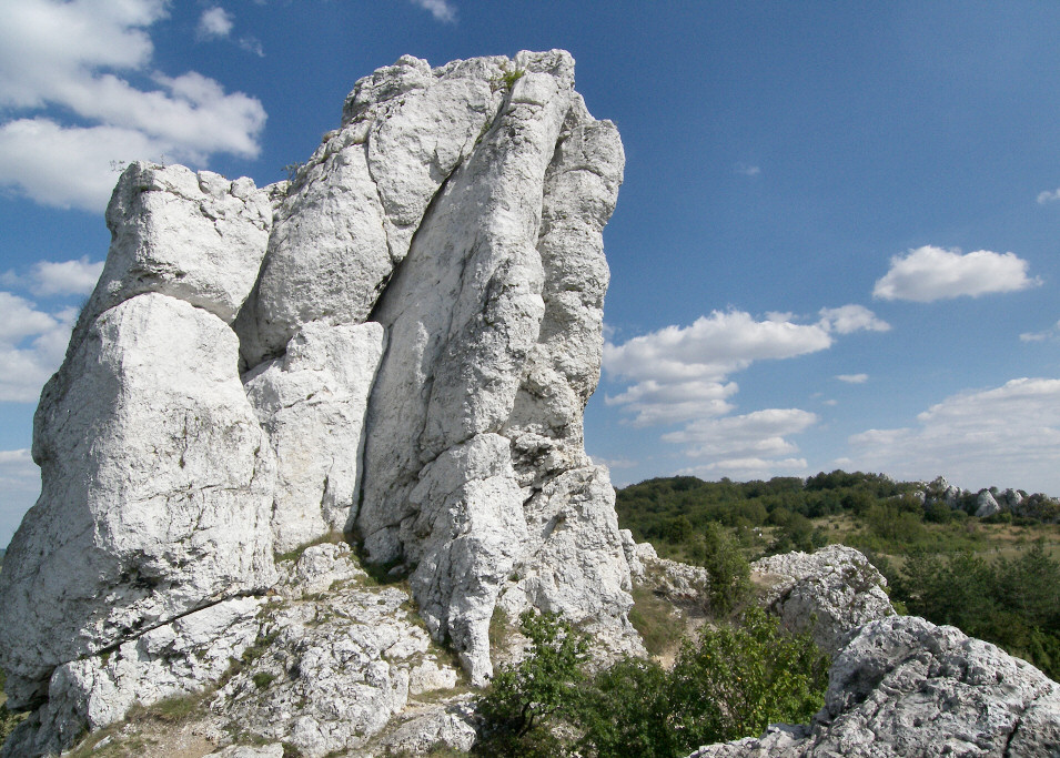 Skaki Rzdkowickie