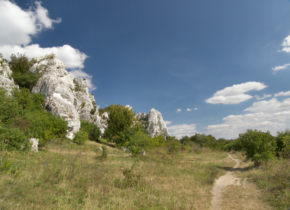 Skaki Rzdkowickie