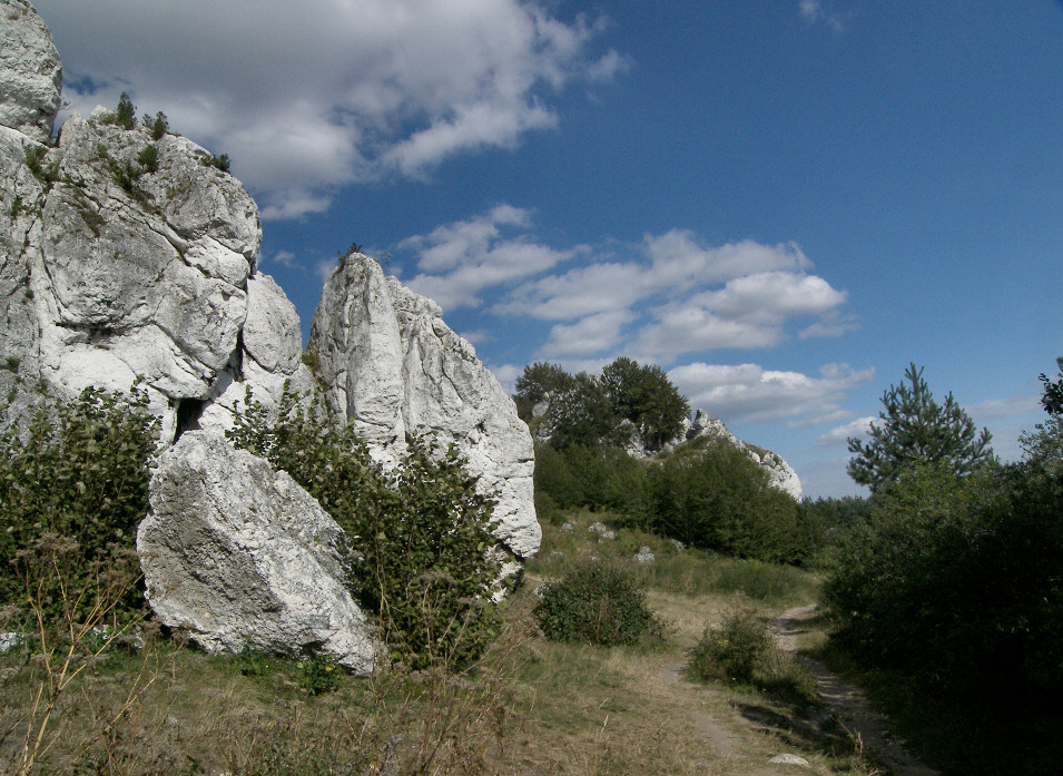 Skaki Rzdkowickie