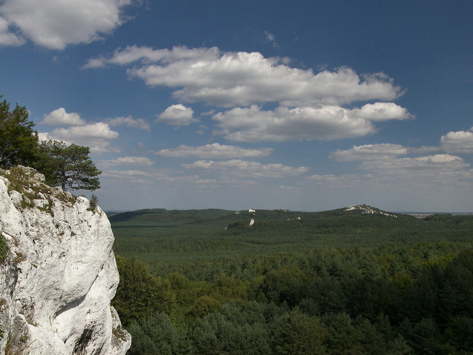 Skaki Rzdkowickie