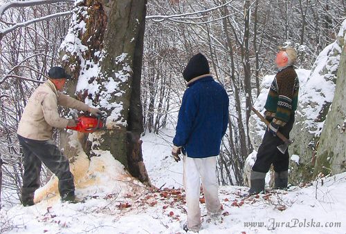 Skaki Rzdkowickie