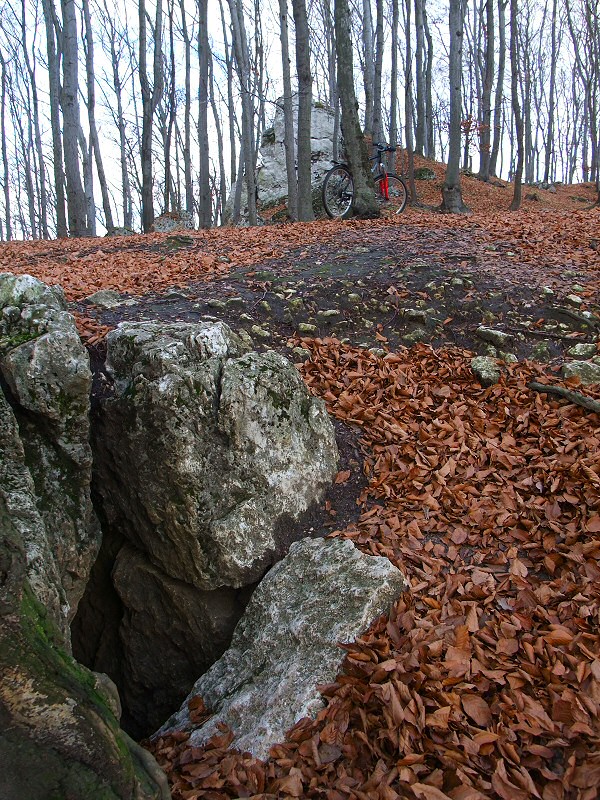 Ostrnik, Jaskinia Wierna