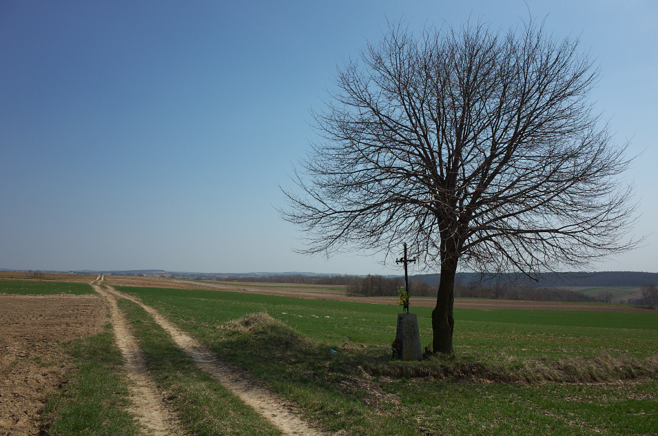 Wyyna Miechowska, okolice Rzeuni