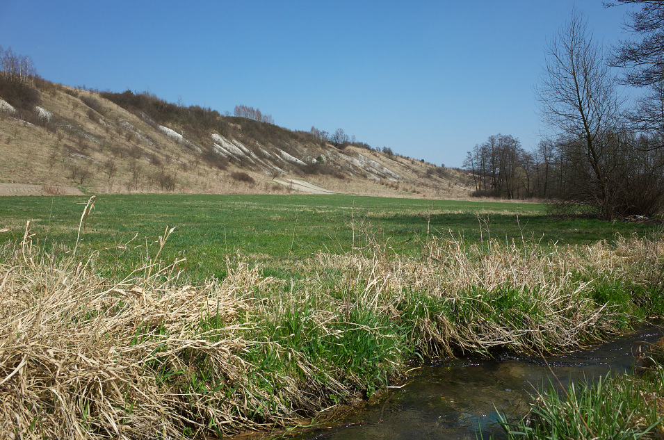 Wyyna Miechowska, okolice Rzeuni