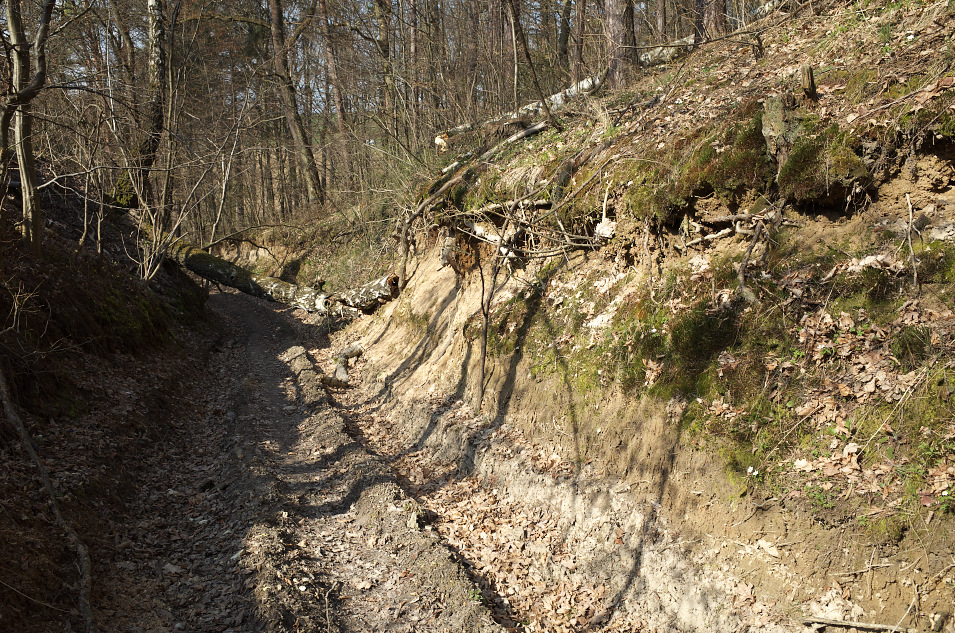 Wyyna Miechowska, Czaple - Kamieniec