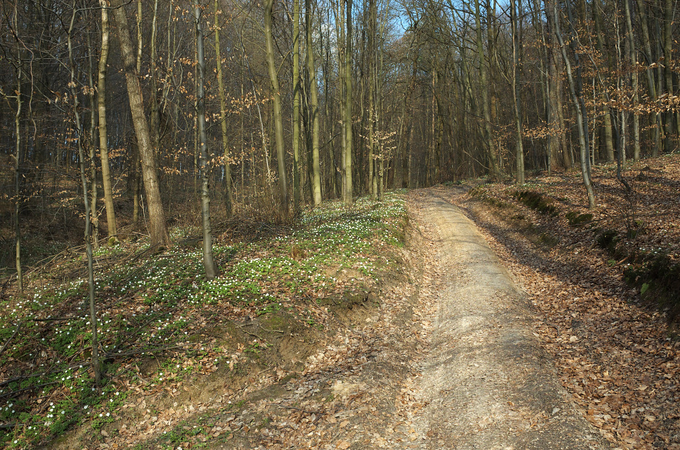 Dolina Dubni, Wwz Ostryszni