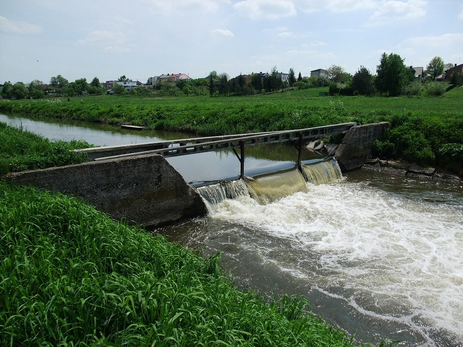 Pilica w Szczekocinach