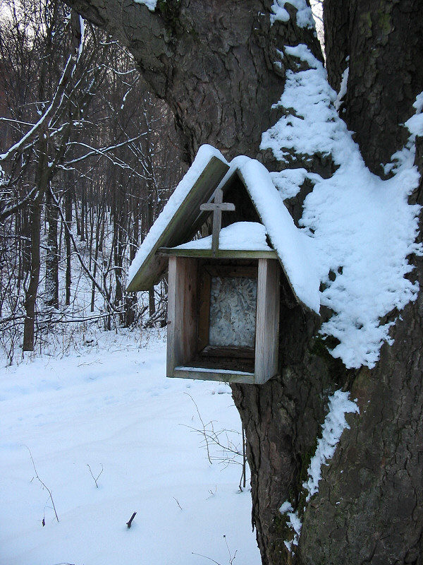 Kolonia Dobra