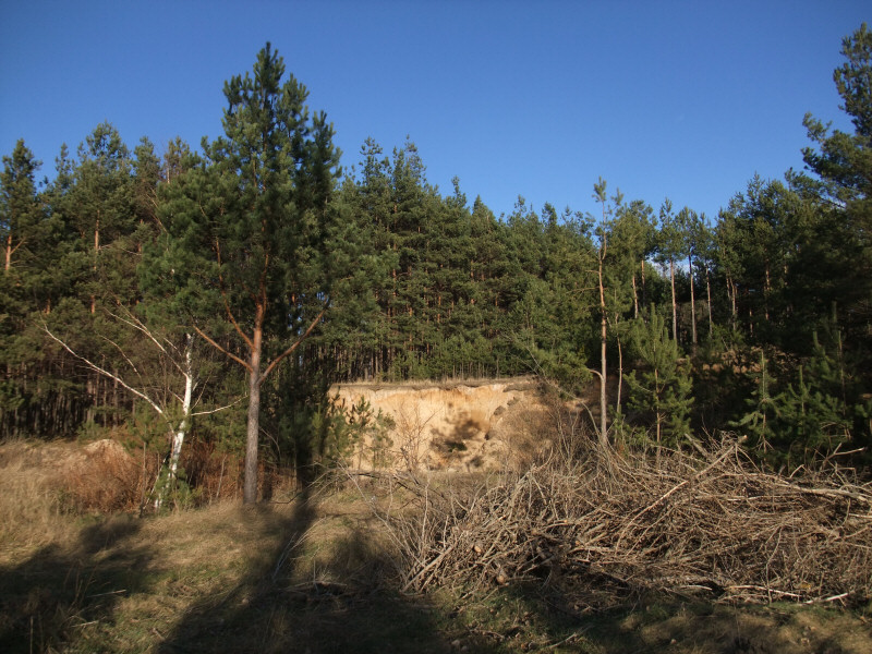 Kiełkowice