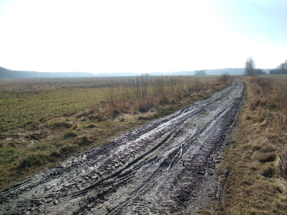 W okolicach Trzebyczki