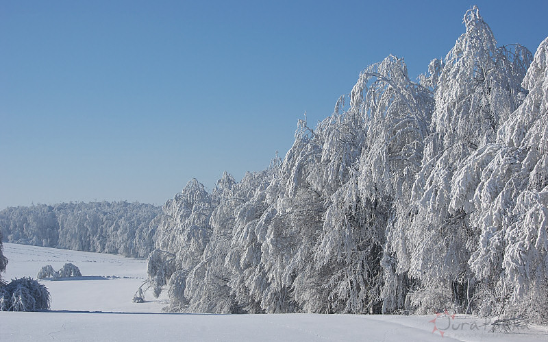 Kolonia Dobra