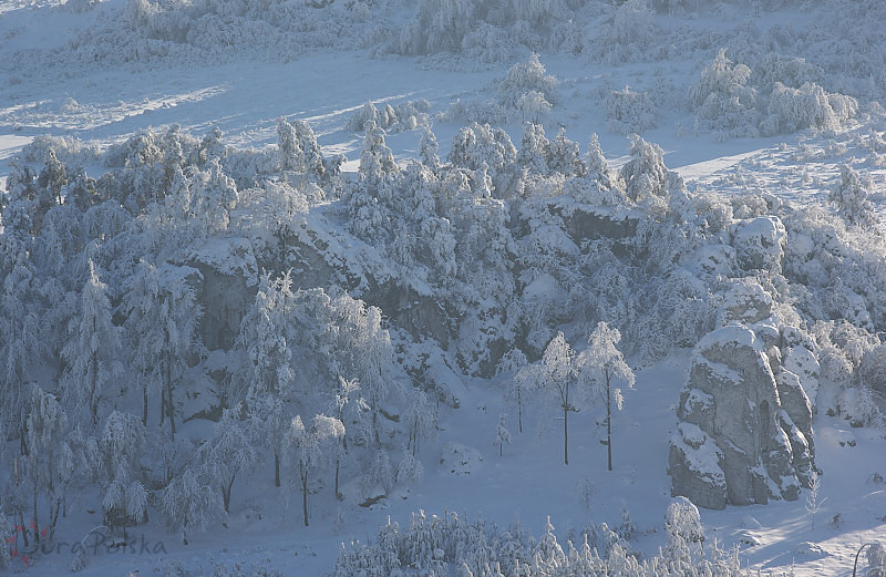 Grzebie, Dolina Cisowej