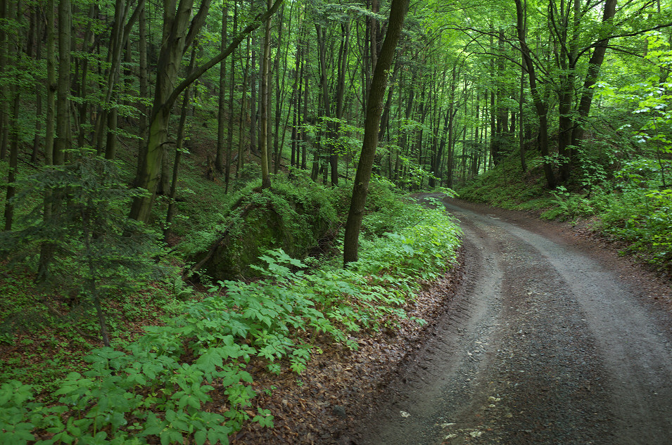 Dolina Sspowska, Ojcowski Park Narodowy