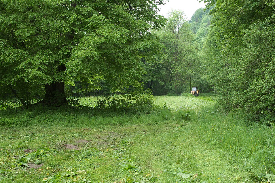 Dolina Sspowska, Ojcowski Park Narodowy