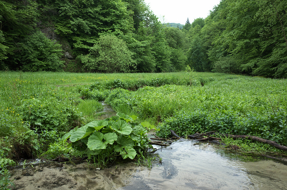 Dolina Sspowska, Ojcowski Park Narodowy