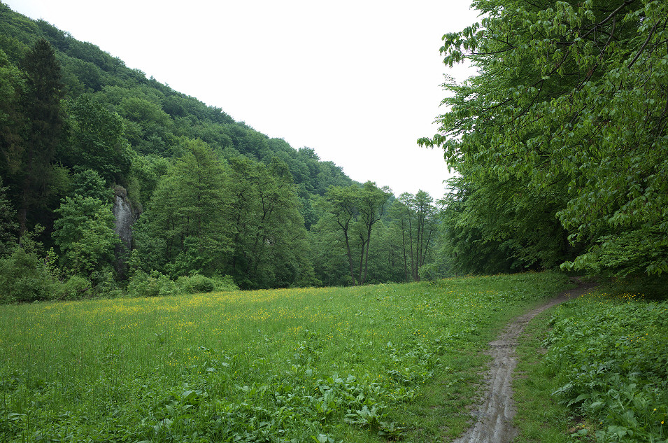 Dolina Sspowska, Ojcowski Park Narodowy