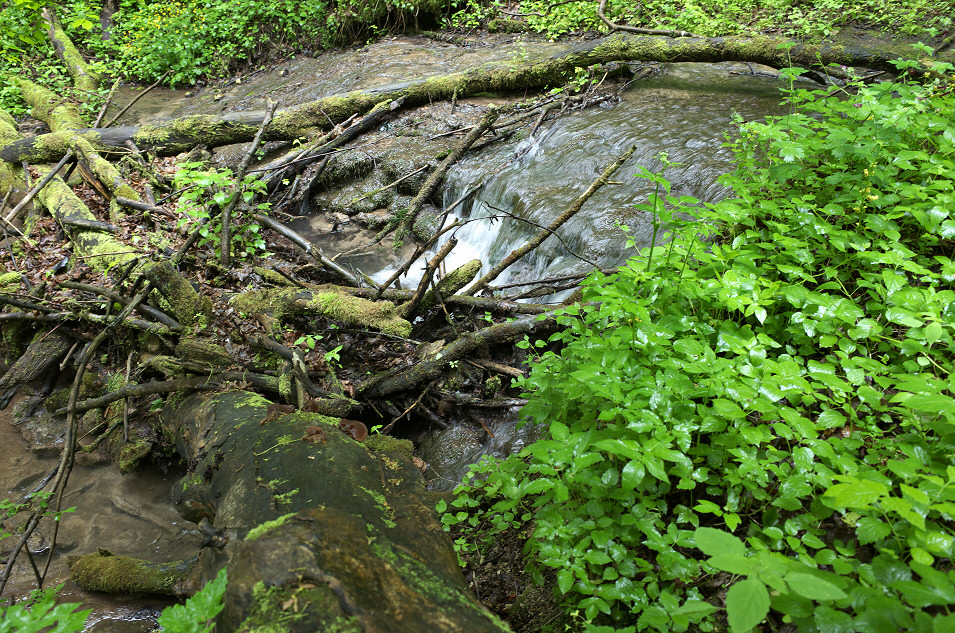 Dolina Sspowska, Ojcowski Park Narodowy